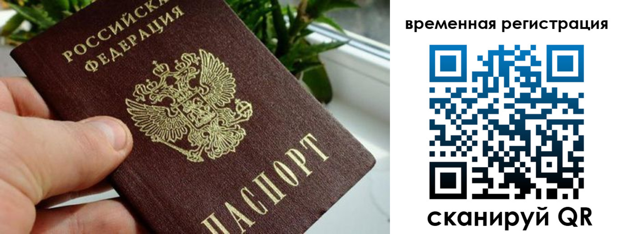 прописка поиск в Пермском крае